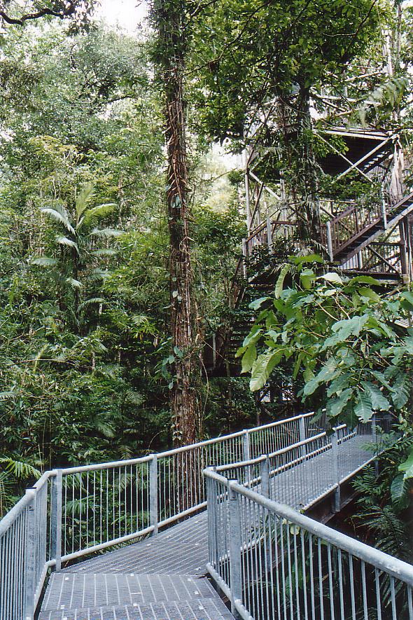 A3003786-空中步行通道